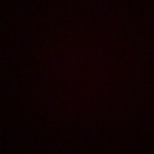 Meet your Posher, Delyssa